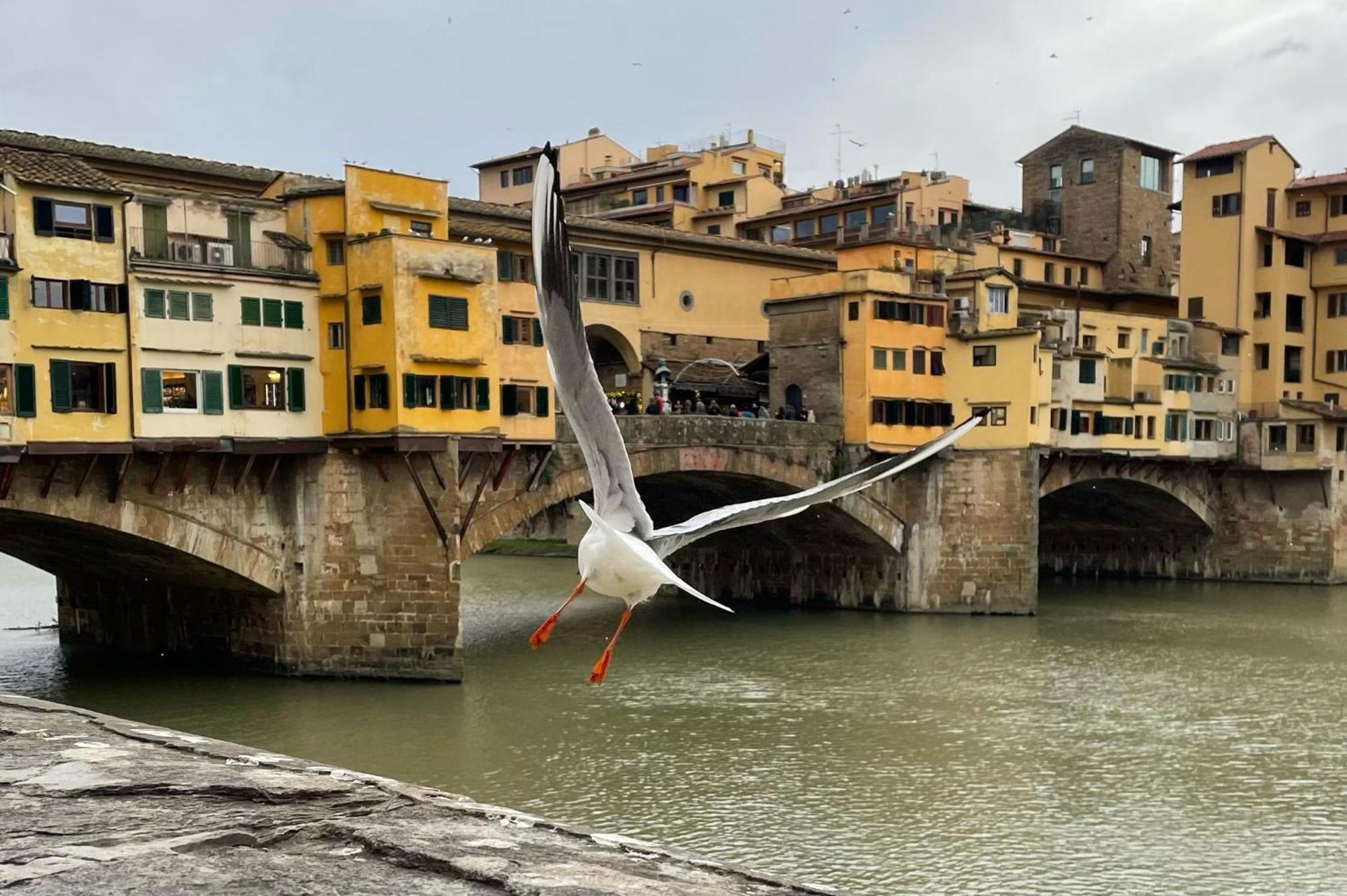 Appartamento Vintage In The Heart Of Firenze